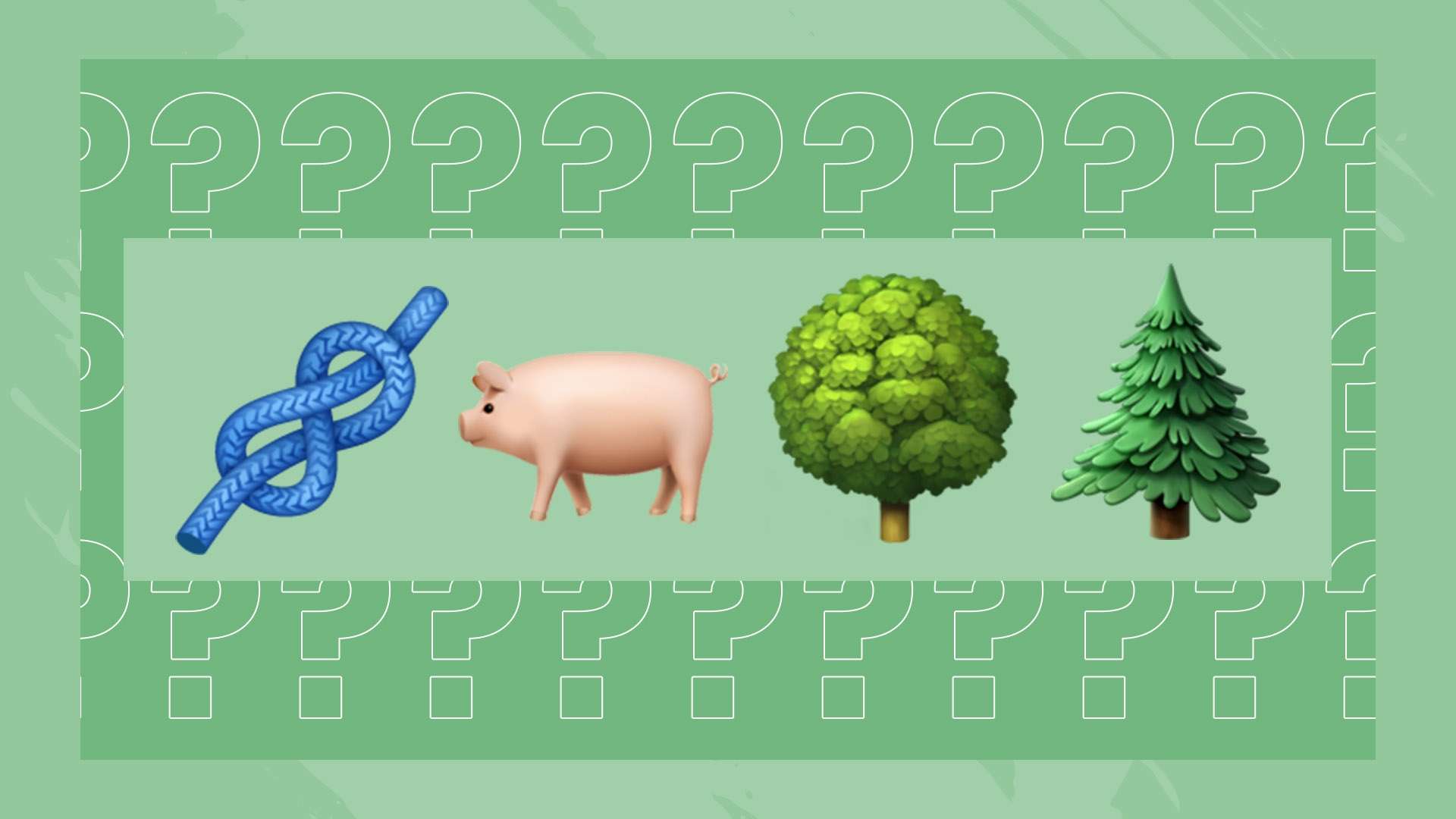 可以为球队 可以为球队